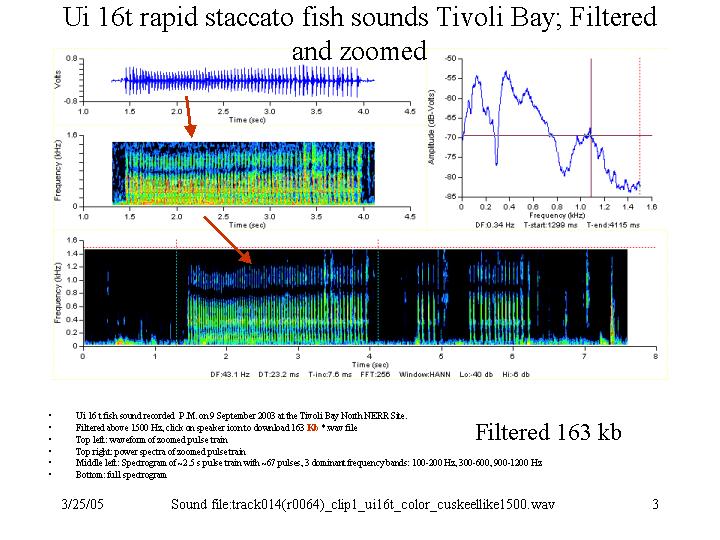 Zoomed Unknown staccato